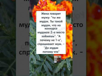 #юмор #смех#анекдоты #мужчина #женщина #funny #memes #КОГДА ЖЕНА без НАСТРОЕНИЯ 