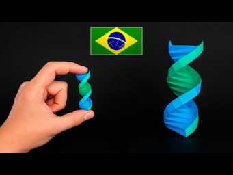Origami de DNA F&aacute;cil - Instru&ccedil;&otilde;es em Portugu&ecirc;s BR