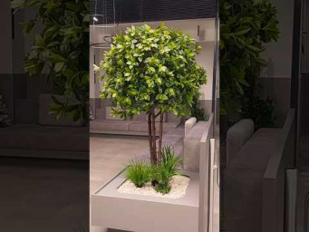 Оформление входной группы и декор искусственными растениями в Екатеринбурге
