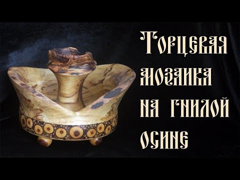 ТОРЦЕВАЯ МОЗАИКА НА ГНИЛОЙ ОСИНЕ ТОРЦЕВАЯ МОЗАИКА НА ГНИЛОЙ ОСИНЕ