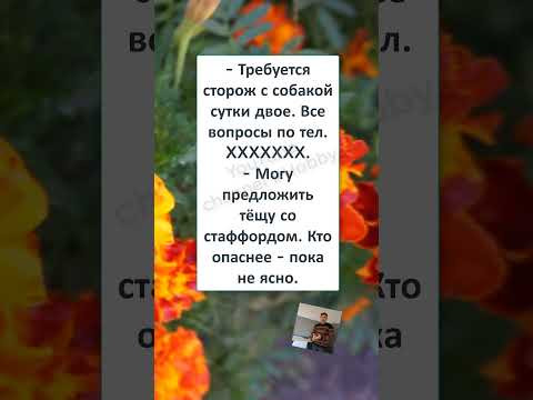 #шуточное#юмор #прикол#смех #смехпродлеваетжизнь #ТЁЩА СПЕЦНАЗ #шуточное#юмор #прикол#смех #смехпродлеваетжизнь #ТЁЩА СПЕЦНАЗ