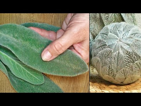 This has never happened on YouTube before! 1 FLOWER - 3 IDEAS! You've never seen anything like t