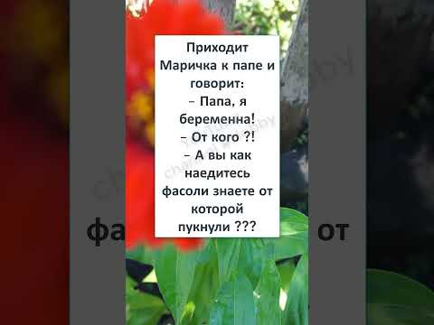 #смех #юмор #анекдот #шутки #прикол #ПАПА, Я БЕРЕМЕННА! #смех #юмор #анекдот #шутки #прикол #ПАПА, Я БЕРЕМЕННА!