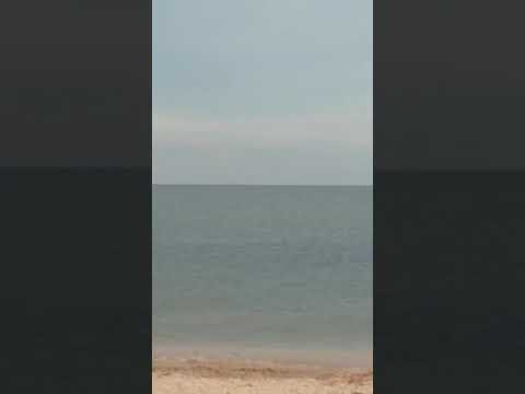 Азовское море. Арабатская стрелка. Счастливцево. #shorts #море #пляж #отдых