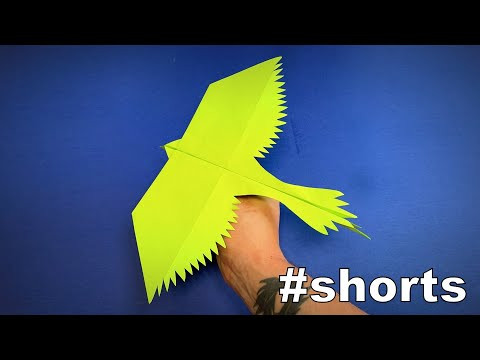 How to Make a Paper Airplane Bird Parrot | Origami Airplane | Origami Bird Easy Origami ART #shorts How to Make a Paper Airplane Bird Parrot | Origami Airplane | Origami Bird Easy Origami ART #shorts