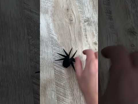 Origami Halloween | Paper Spider Origami Halloween | Paper Spider