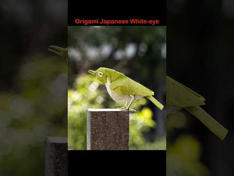 Origami Japanese White-eye by SATOSHI KAMIYA in a minute #shorts #origami #papercraft #birds Origami Japanese White-eye by SATOSHI KAMIYA in a minute #shorts #origami #papercraft #birds
