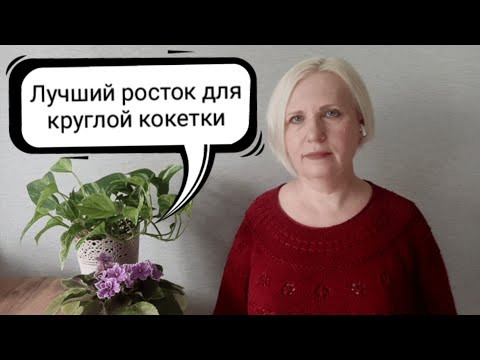 Лучший росток для круглой кокетки. Виды ростка в круглой кокетке, мои работы. Лучший росток для круглой кокетки. Виды ростка в круглой кокетке, мои работы.