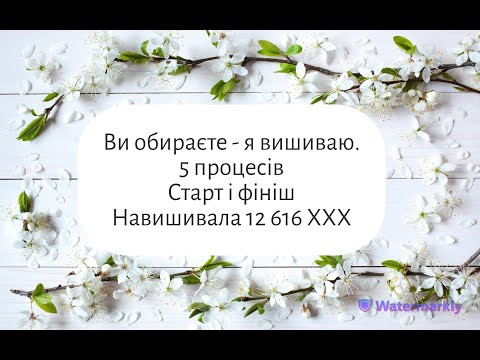 Ви обираєте - я вишиваю. 5 процесів. Старт і фініш. 12 616 ХХХ за тиждень