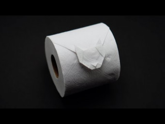 ORIGAMI TOILET PAPER CAT (Jo Nakashima)