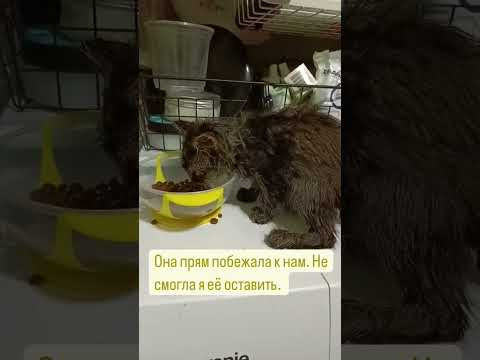 привет всем) у нас новый житель. давайте показывать хоть немного нашей жизни буду так. привет всем) у нас новый житель. давайте показывать хоть немного нашей жизни буду так.