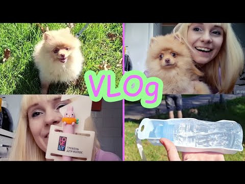 Учим команду ко мне | Покупки из фикс прайс VLOg