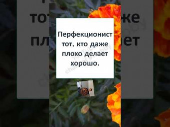 #юмор #смех #анекдоты #funny #fun #memes #А ЭТО ХОРОШО? или СЛИШКОМ ХОРОШО?  