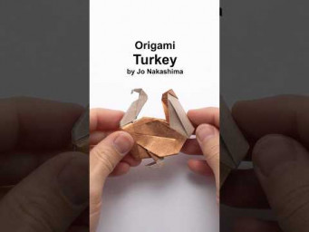 Origami Turkey 