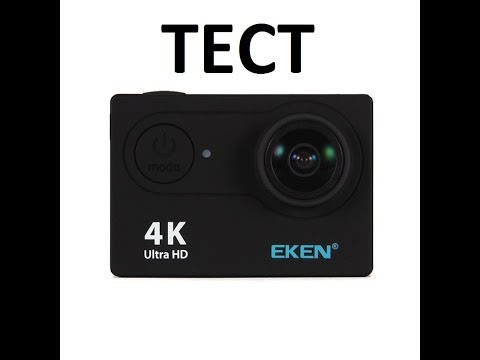 Тест камеры  EKEN 9HR (Куры, собаки, коты)