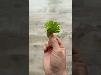 origami peacock | Paper Bird | Origami Animals #origami #papercraft #animals