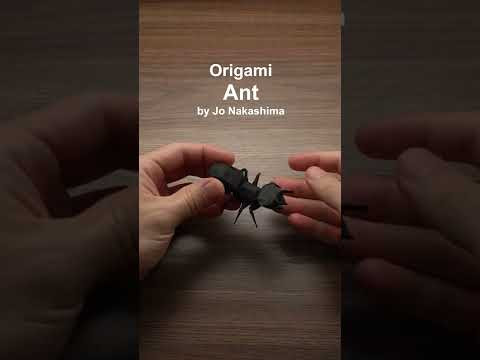 Origami Ant preview #shorts Origami Ant preview #shorts