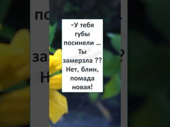 #юмор #шуточное #анекдоты 