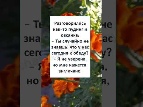 #шутки #юмор #смешно #ржач #СЭР, что ВАМ ПОДАТЬ к ОБЕДУ #шутки #юмор #смешно #ржач #СЭР, что ВАМ ПОДАТЬ к ОБЕДУ