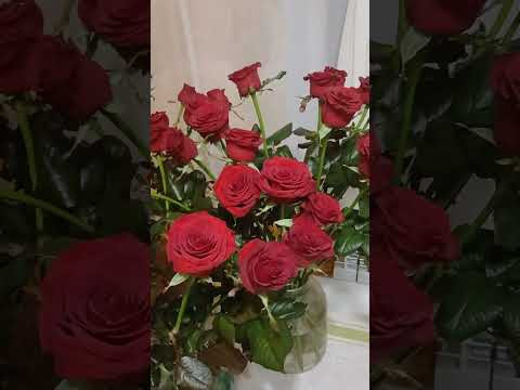 Королева цветов #творчество #розы #цветы #красотадуши #весна Королева цветов #творчество #розы #цветы #красотадуши #весна