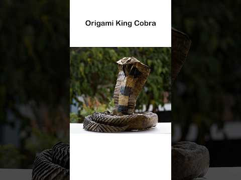 Origami KING COBRA in a minute #shorts Origami KING COBRA in a minute #shorts