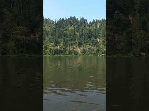 Мой любимый #Новокузнецк  Река Кондома