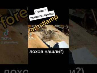 Потребительский экстремизм