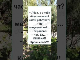 #смех#шутка#анекдот#анекдоты #ТЁЩИ БЫВАЮТ РАЗНЫЕ, но по ЛЮБОМУ ПРЕКРАСНЫЕ! 