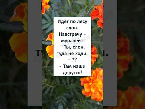 #шуточное #юмор #прикол #смех #смехпродлеваетжизнь #шуточное #юмор #прикол #смех #смехпродлеваетжизнь