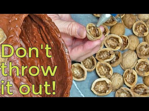 You'll be sorry if you throw away the nutshells! Extraterrestrial uses of nutshells You'll be sorry if you throw away the nutshells! Extraterrestrial uses of nutshells