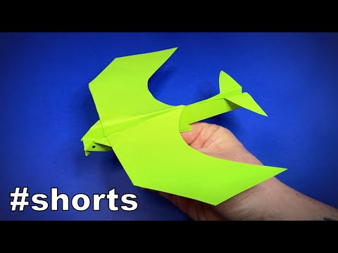 How to Make a Paper Airplane | Origami Airplane | Origami Bird | Easy Origami ART #shorts