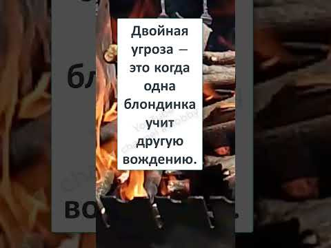 #шутки #юмор #смешно #ржач #ОНИ ни в ЧЁМ не ВИНОВАТЫ, но это не ТОЧНО! 