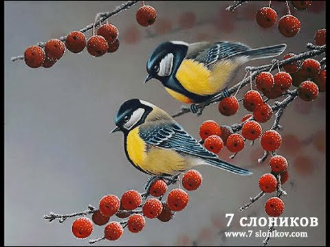 Синички 7 слоников СП Авторские истории Октябрь 2020 Синички 7 слоников СП Авторские истории Октябрь 2020
