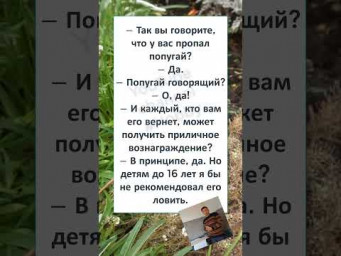 #мем#смехпродлеваетжизнь#прикол#смешновидео#смех#юмор#реки #ЛОВИТЕ ПОПУГАЯ! 
