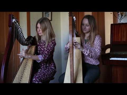 Celtic Harp - Give me your hand (музыкальное поздравление с Новым годом) Celtic Harp - Give me your hand (музыкальное поздравление с Новым годом)