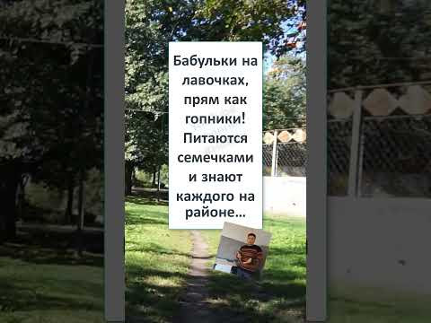 #мем#смехпродлеваетжизнь#прикол#смешновидео#смех#юмор#реки #БАБУЛЬКИ на ЛАВОЧКАХ #мем#смехпродлеваетжизнь#прикол#смешновидео#смех#юмор#реки #БАБУЛЬКИ на ЛАВОЧКАХ