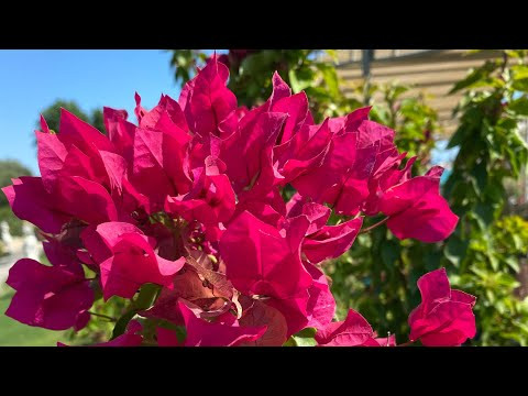 Морские зарисовки 1 часть / что начала вышивать. Вышивка крестиком. Морские зарисовки 1 часть / что начала вышивать. Вышивка крестиком.
