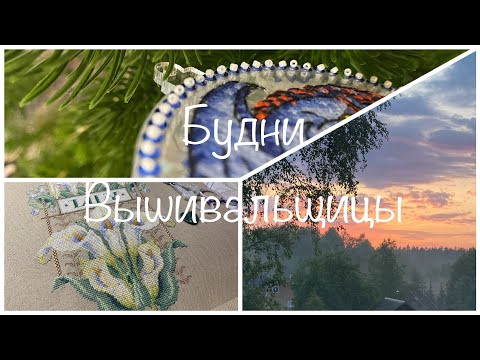 #418. Будни Вышивальщицы 20-31.05.24/Вышиваю потихоньку, продвигаю процессы, гуляю #418. Будни Вышивальщицы 20-31.05.24/Вышиваю потихоньку, продвигаю процессы, гуляю