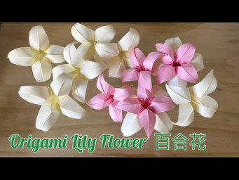 Origami Lily Flower 折纸百合花