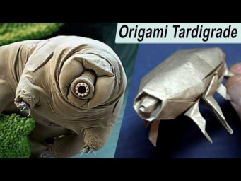 Origami Tardigrade 