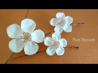 Origami Plum Blossom/ Wintersweet/ 5-petal flower 折纸梅花 (V7)