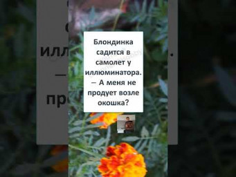 #смех #шутка #анекдот #анекдоты #СРОЧНО НУЖЕН БОРТ для БЛОНДИНОК! ✈