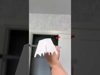 I Launched a Paper Plane 287 Feet &ndash; World Record? #diy #papercraft #shorts