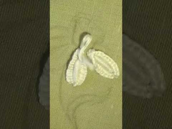 White Flower Embroidery for beginners SHORT