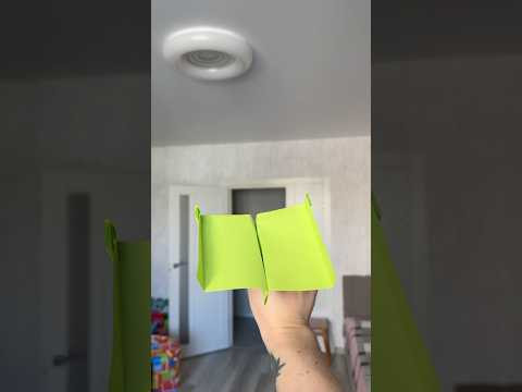 BREAKING: Paper Plane Flies 107 Feet&hellip; in My Living Room?! #airplane #funny #diy #papercraft