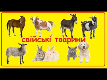 Свійські тварини, їх звуки та голоси | Знайомство з природним довкіллям | Заняття з дошкільнятами