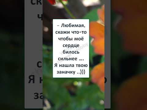 #юмор #шуточное #анекдоты #НИ СЛОВА о ДЕНЬГАХ, только ЛЮБОВЬ! 