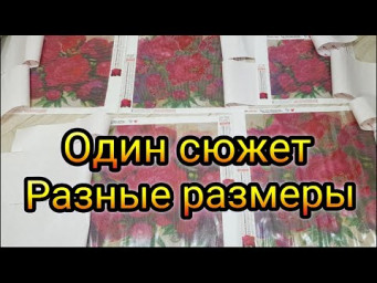 ШИКАРНЫЕ ПИОНЫ!! ПРОСТО БОМБА!!! Сравниваю разные размеры, выбирайте свой!