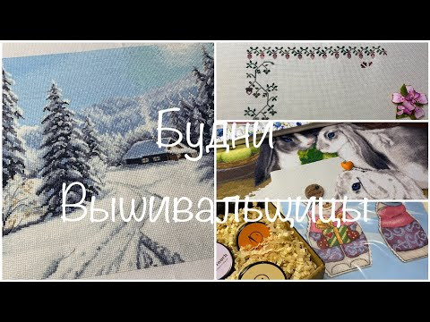 435. Будни Вышивальщицы 1-10.09.24/ Финиш Зимний день от Овен, старт Сада от Совиного леса, процессы 435. Будни Вышивальщицы 1-10.09.24/ Финиш Зимний день от Овен, старт Сада от Совиного леса, процессы