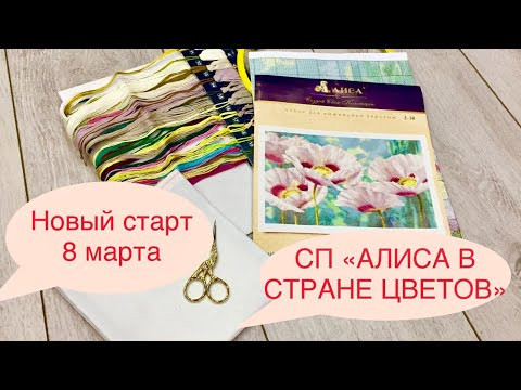 Новый старт/СП «Алиса в стране цветов»/Белые маки/Вышивка крестом Новый старт/СП «Алиса в стране цветов»/Белые маки/Вышивка крестом